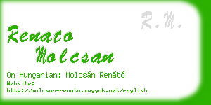 renato molcsan business card