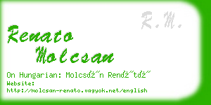 renato molcsan business card